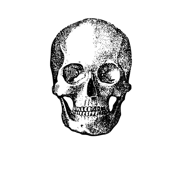 skullmerch